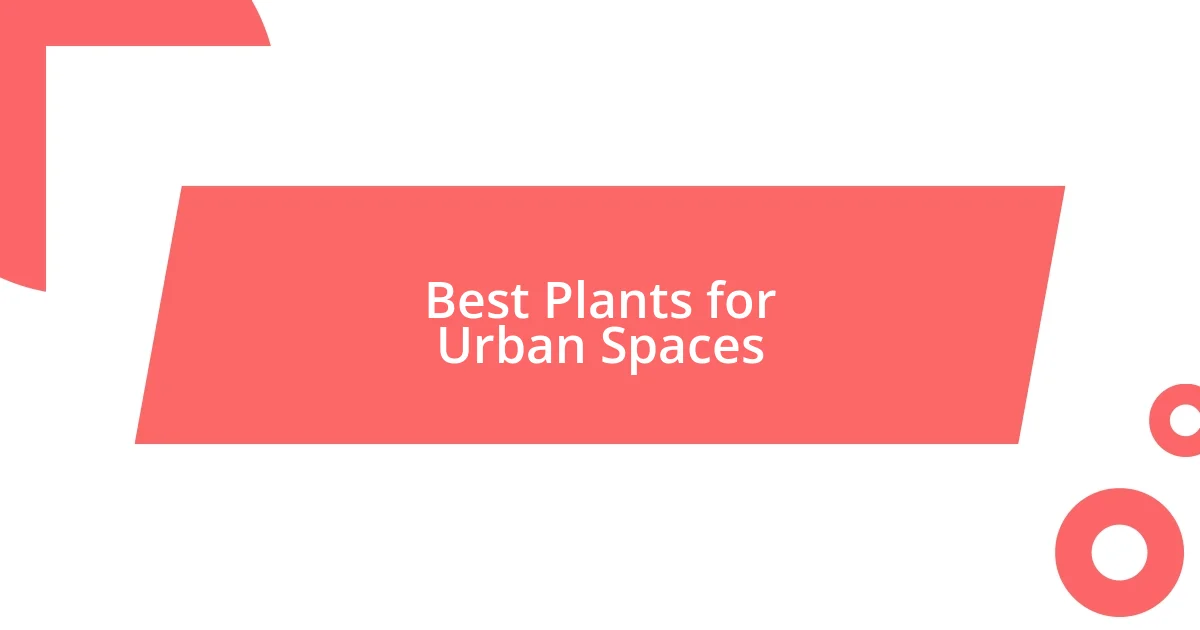 Best Plants for Urban Spaces